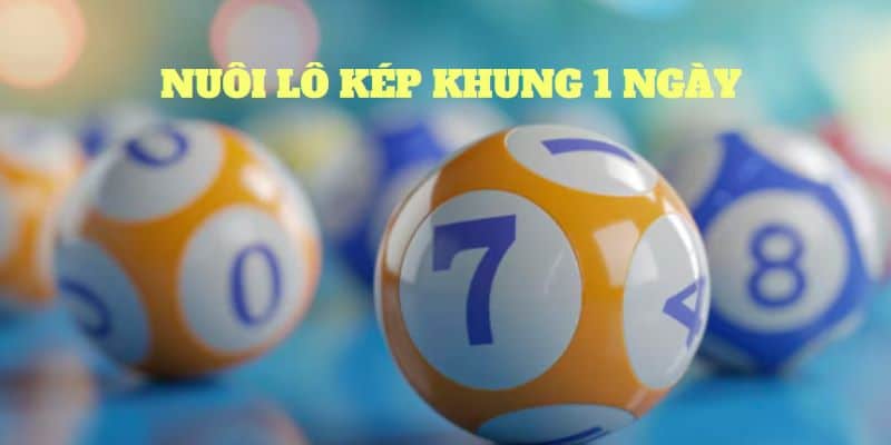 Hướng nuôi lô khung 1 ngày hiệu quả